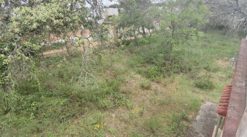 Huelva - Isla Cristina - 13351m2