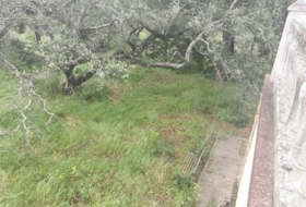 Isla Cristina 13351&nbsp;m²