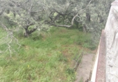 Rural estate for sale in Isla Cristina ref: TR403340 photo
