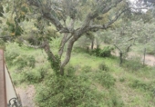 Rural estate for sale in Isla Cristina ref: TR403340 photo