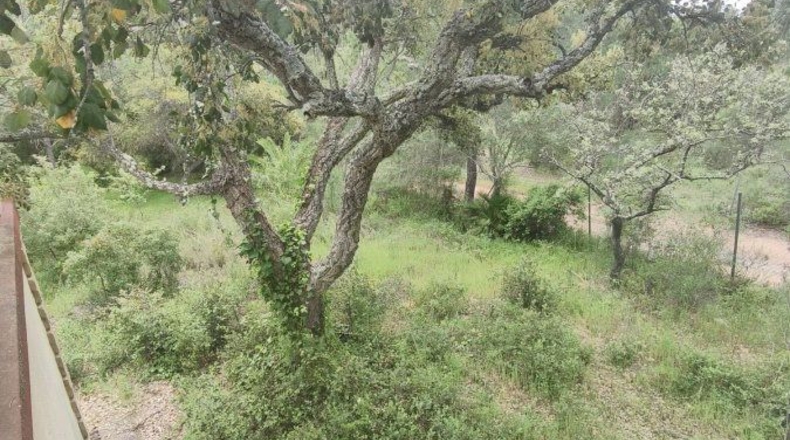Huelva - Isla Cristina - 13351m2