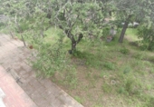 Rural estate for sale in Isla Cristina ref: TR403340 photo