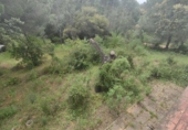 Rural estate for sale in Isla Cristina ref: TR403340 photo