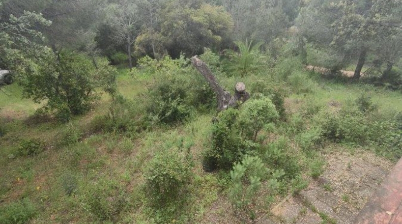 Huelva - Isla Cristina - 13351m2