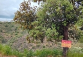 Suelo urbano en venta en la España, Ponferrada, ref: TR233584 foto