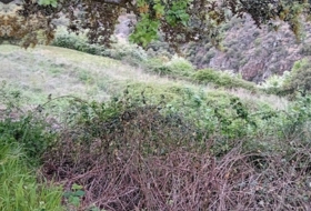 Foto 10