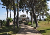 Detached villa with land for sale in Chiva ref: TR199287 photo
