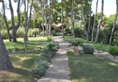 Detached villa with land for sale in Chiva ref: TR199287 photo