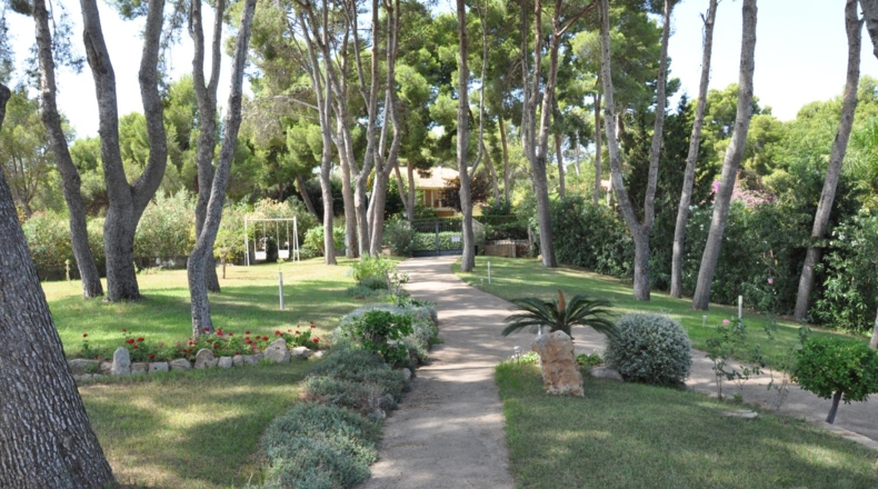 Valencia - Xiva - 450m2