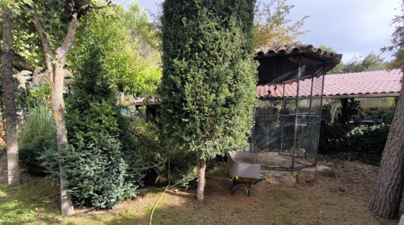 Jaén - Benatae - 2000m2