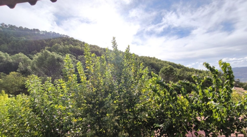 Jaén - Benatae - 2000m2