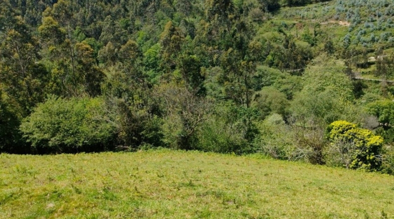 Astúries - Villaviciosa - 2200m2