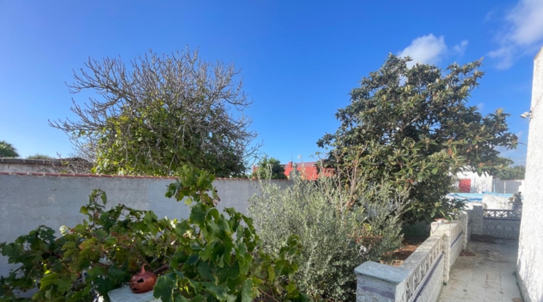Cádiz - Chiclana de la Frontera - 750m2