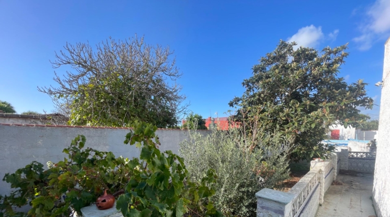 Cádiz - Chiclana de la Frontera - 750m2