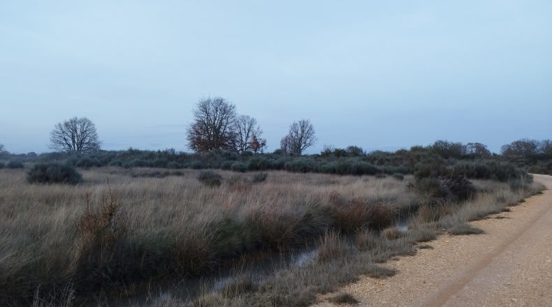 Zamora - Cional - 33830m2