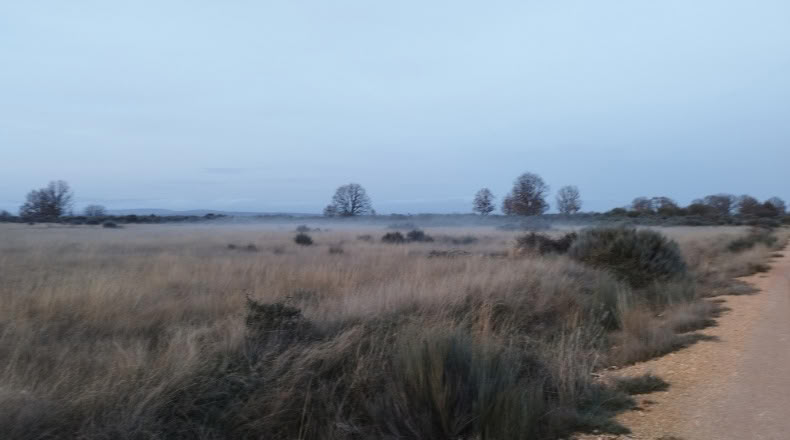Zamora - Cional - 33830m2