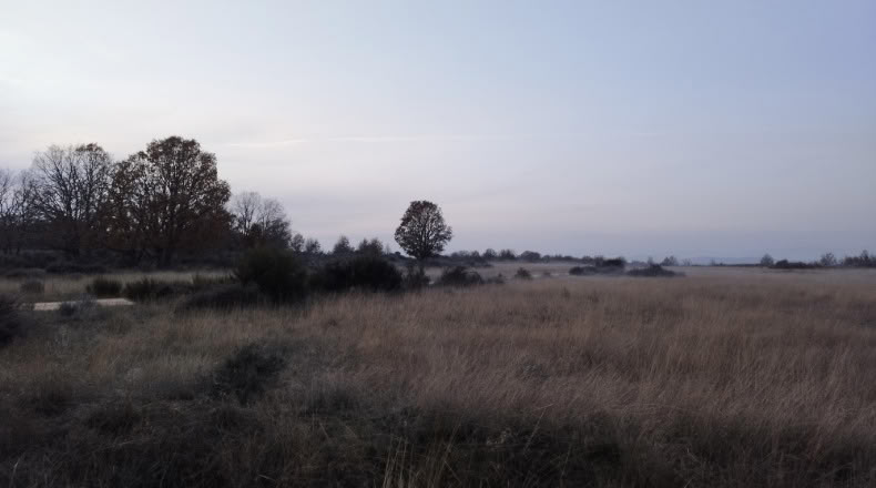 Zamora - Cional - 33830m2