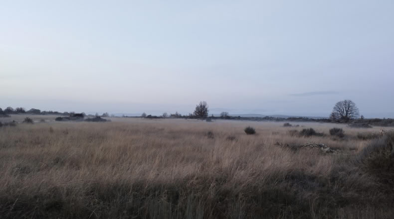 Zamora - Cional - 33830m2