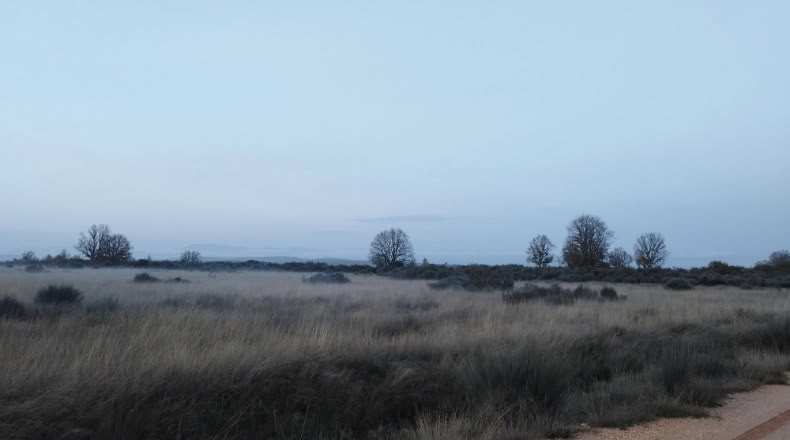Zamora - Cional - 33830m2