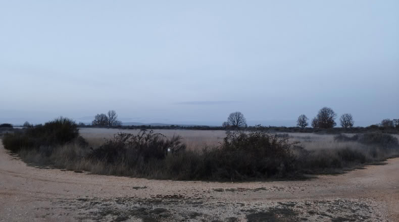 Zamora - Cional - 33830m2