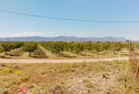Ulldecona 214074&nbsp;м²