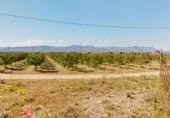 Granja en venta en la Pou Joa, Ulldecona, ref: TR403317 foto