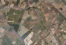 Ulldecona 214074&nbsp;м²