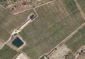 Granja en venta en la Pou Joa, Ulldecona, ref: TR403317 foto