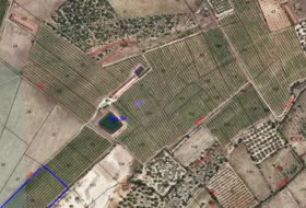 Ulldecona 214074&nbsp;м²