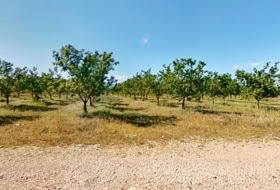 Ulldecona 214074&nbsp;м²