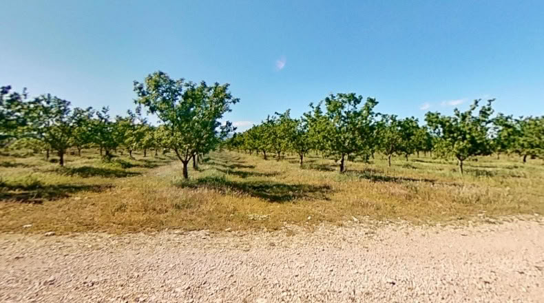 Tarragona - Ulldecona - 214074m2
