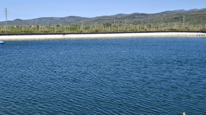 Tarragona - Ulldecona - 214074m2