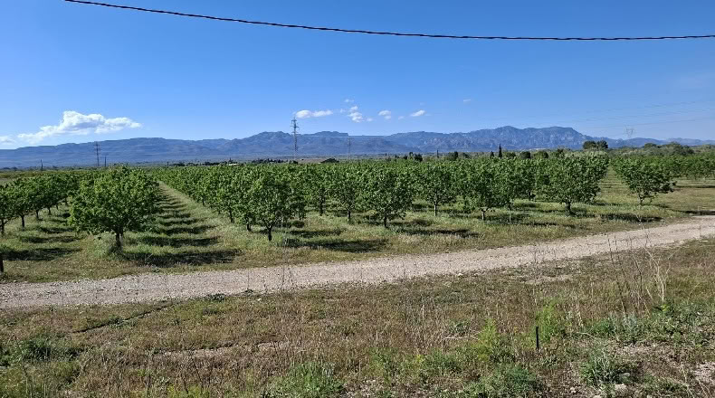 Tarragona - Ulldecona - 214074m2