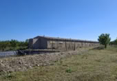 Granja en venta en la Pou Joa, Ulldecona, ref: TR403317 foto