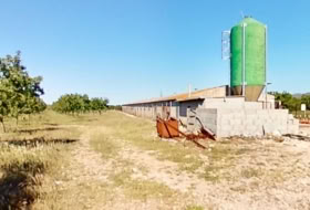 Ulldecona 214074&nbsp;м²