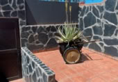 Xalet independent amb terreny en venda a la Calle Aceviño, El Sauzal, ref.: TR404609 foto