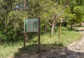 Non-developable land for sale on España, Carataunas, ref: TR317039 photo