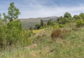 Non-developable land for sale on España, Carataunas, ref: TR317039 photo