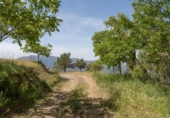 Non-developable land for sale on España, Carataunas, ref: TR317039 photo