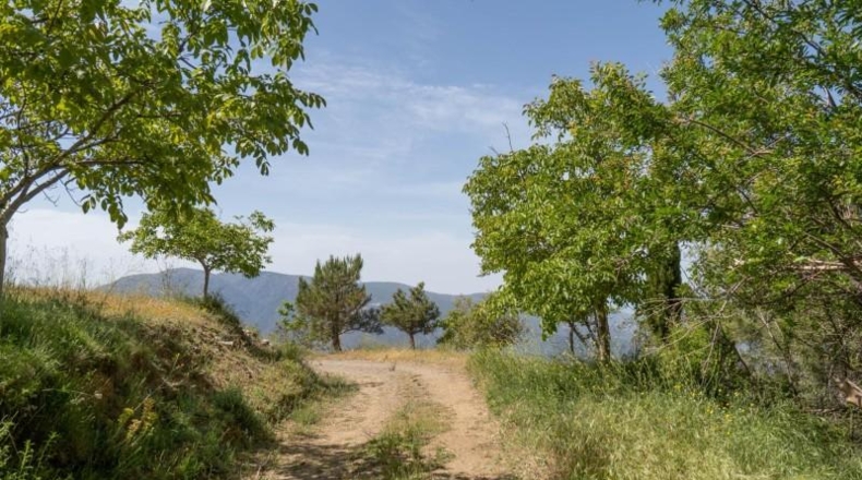 Гранада - Carataunas - 3000m2