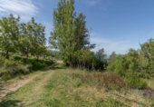 Non-developable land for sale on España, Carataunas, ref: TR317039 photo