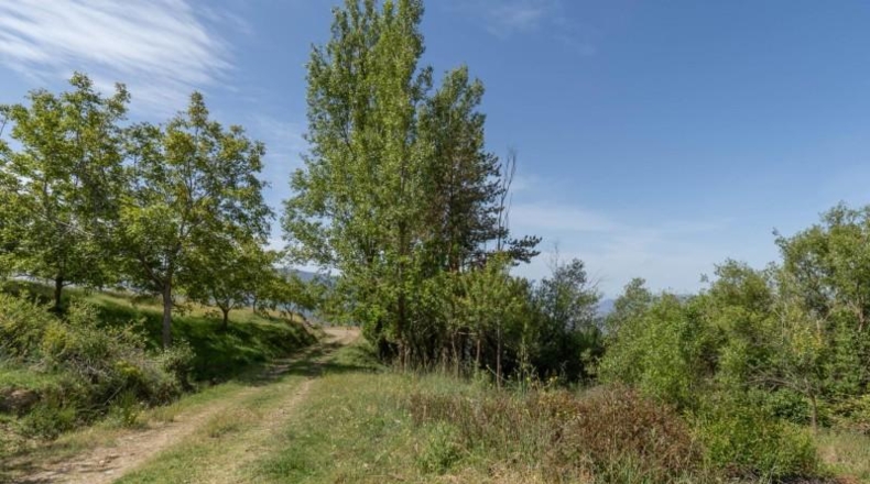 Гранада - Carataunas - 3000m2