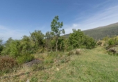 Non-developable land for sale on España, Carataunas, ref: TR317039 photo
