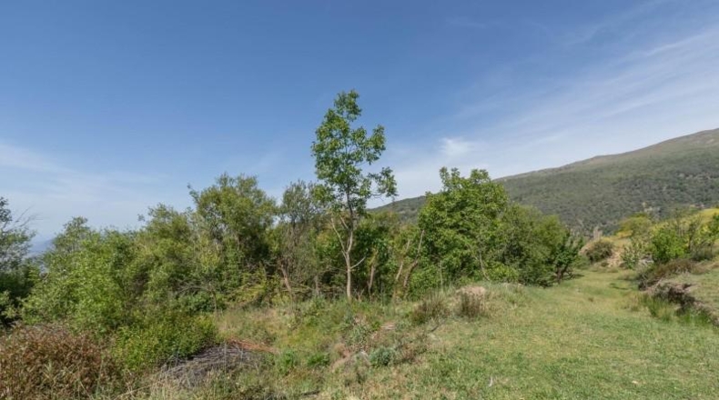 Гранада - Carataunas - 3000m2