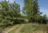 Non-developable land for sale on España, Carataunas, ref: TR317039 photo