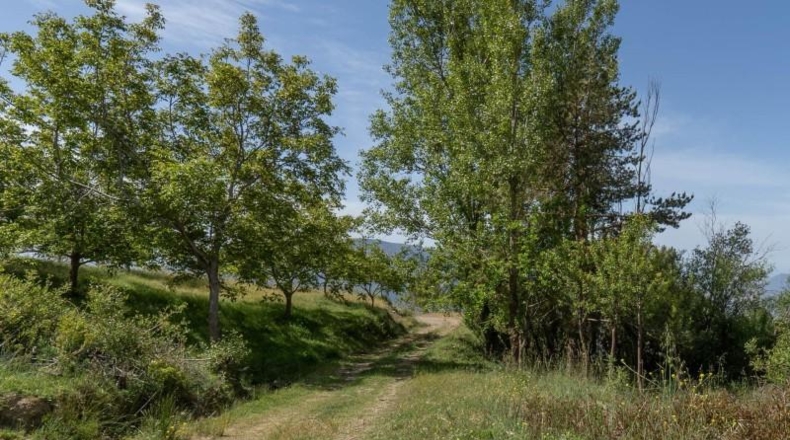 Гранада - Carataunas - 3000m2