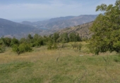 Non-developable land for sale on España, Carataunas, ref: TR317039 photo