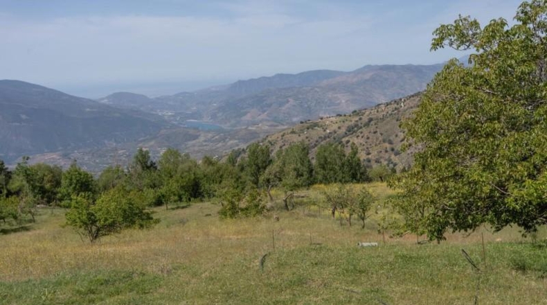 Гранада - Carataunas - 3000m2