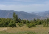 Non-developable land for sale on España, Carataunas, ref: TR317039 photo