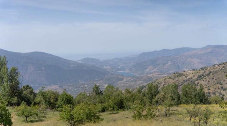 Гранада - Carataunas - 3000m2